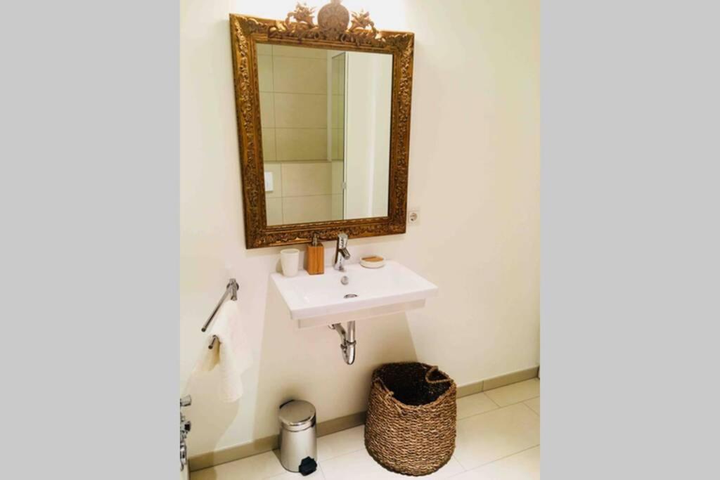לוקסמבורג Large Family Retro Flat In City Center- Large Terrace & Garden View, Free Parking מראה חיצוני תמונה