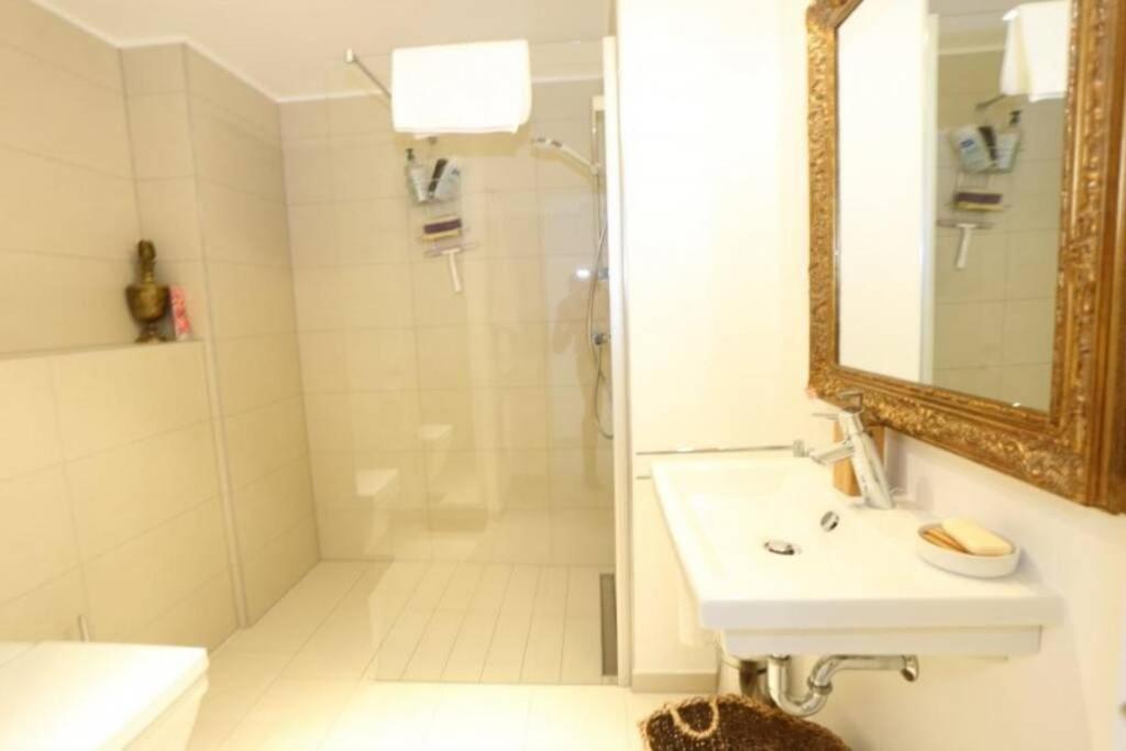 לוקסמבורג Large Family Retro Flat In City Center- Large Terrace & Garden View, Free Parking מראה חיצוני תמונה