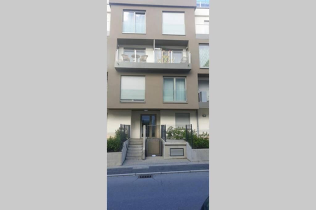 לוקסמבורג Large Family Retro Flat In City Center- Large Terrace & Garden View, Free Parking מראה חיצוני תמונה